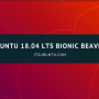 ubuntu-18.04-lts-bionic-beaver1.png